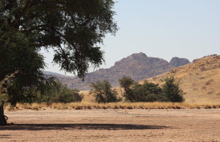 Damaraland Namibie