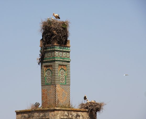 Rabat, dodenstad