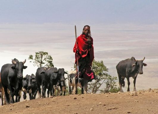 Ngorongoro Tanzania