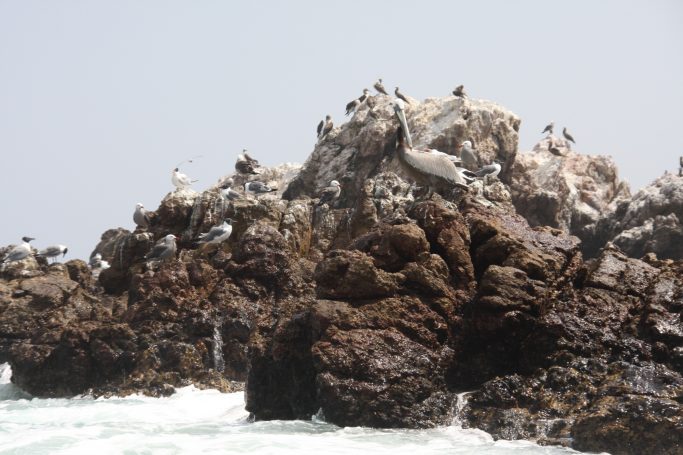 Las Marietas