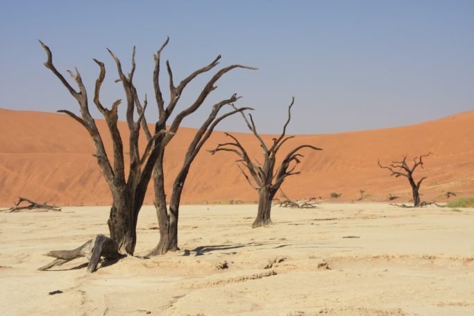 Dead Vlei