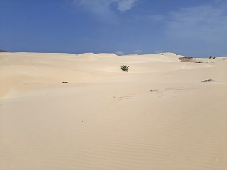 Deserto de Viana (Viana woestijn)