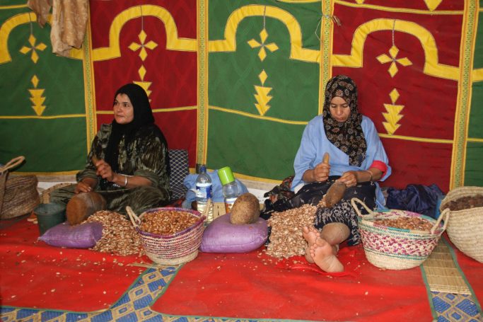 nabij Essaouira vrouwencoöperatie argan