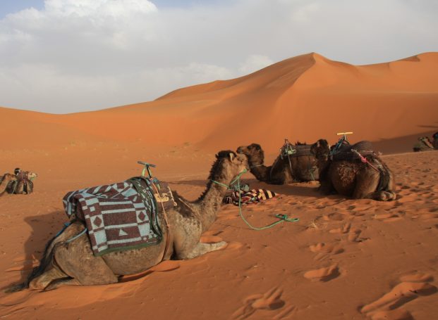 Erg Chebbi