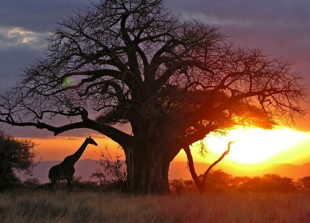 Tanzania