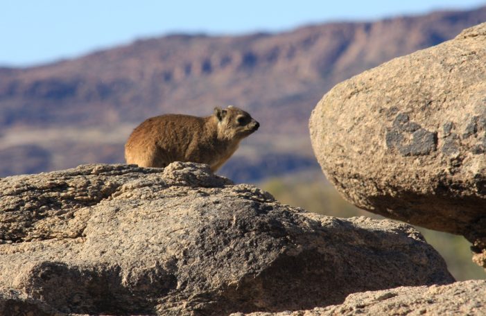 Augrabies NP Zuid-Afrika