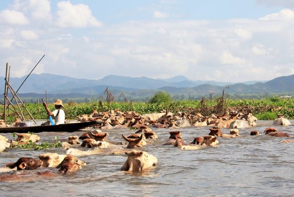 Myanmar