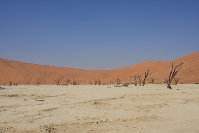 Dead Vlei