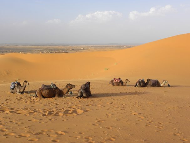 Erg Chebbi
