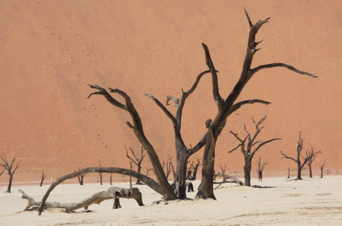 Sossusvlei