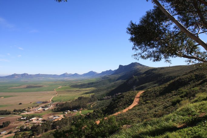 Westkaap